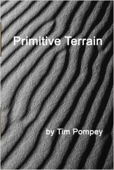 primitive.terrain