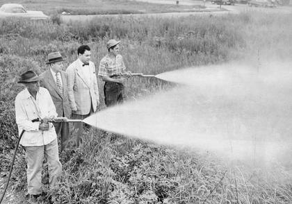 DDT saved millions from disease
