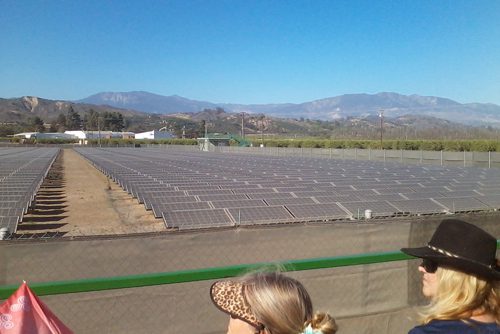 solar_farm