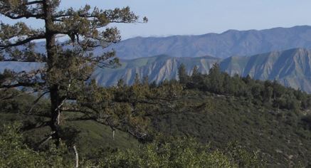 Judge Extends Ban on Unmanaged Target Shooting in Los Padres National Forest