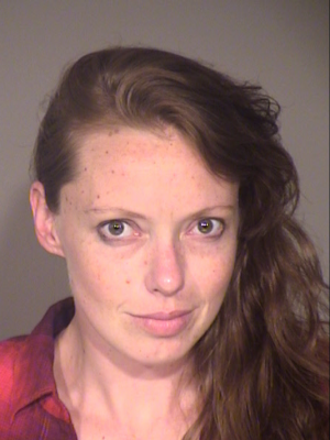 Woman Sentenced to Prison for Vehicular Manslaughter While Under the Influence of Drugs