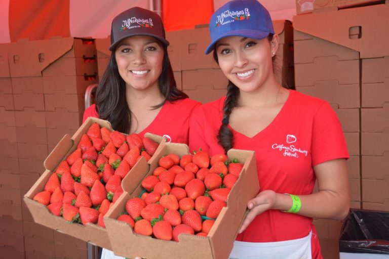 Berry Delights at 36th Annual California Strawberry Festival