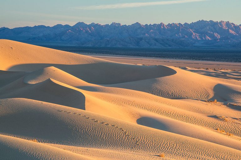 The Mojave Desert Might Solve California’s Water Problem