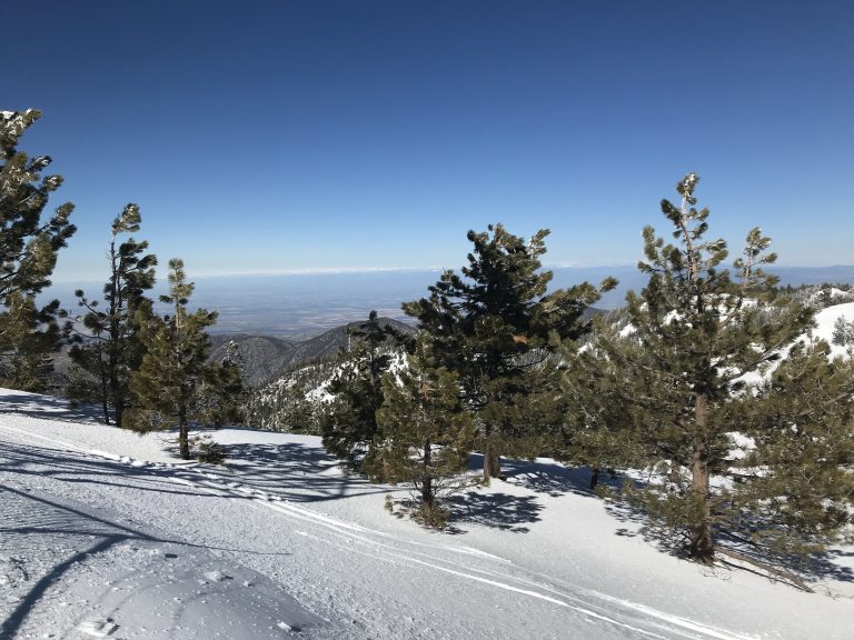 Mt Pinos | Lost Skier Located
