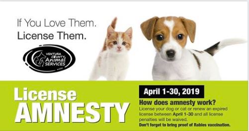 Ventura County Animal Services | April License Amnesty Month