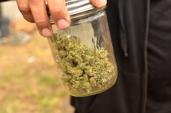 United States Of WEED: Marijuana, Drug Use Hits 14-Year High